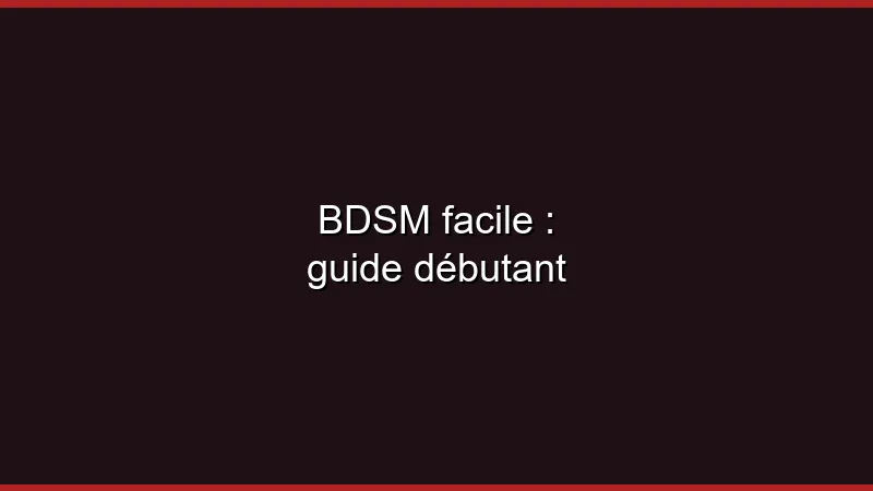 BDSM facile : guide débutant